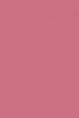 Sisley Phyto Lip Twist 25 Soft Berry