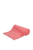 תמונה קידמית של The Towel