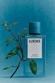 תמונת פנים של Incense Home Fragrance 150 ml