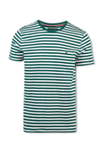 תמונה קידמית של Strip Slim Fit T-Shirt in Green ans White