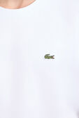 תמונת תקריב דוגמן של Tee-shirt & turtle neck shirt