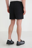 תמונת דוגמן אחורית של Steady State Short 5