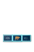 תמונת פנים של Animals in The Sky