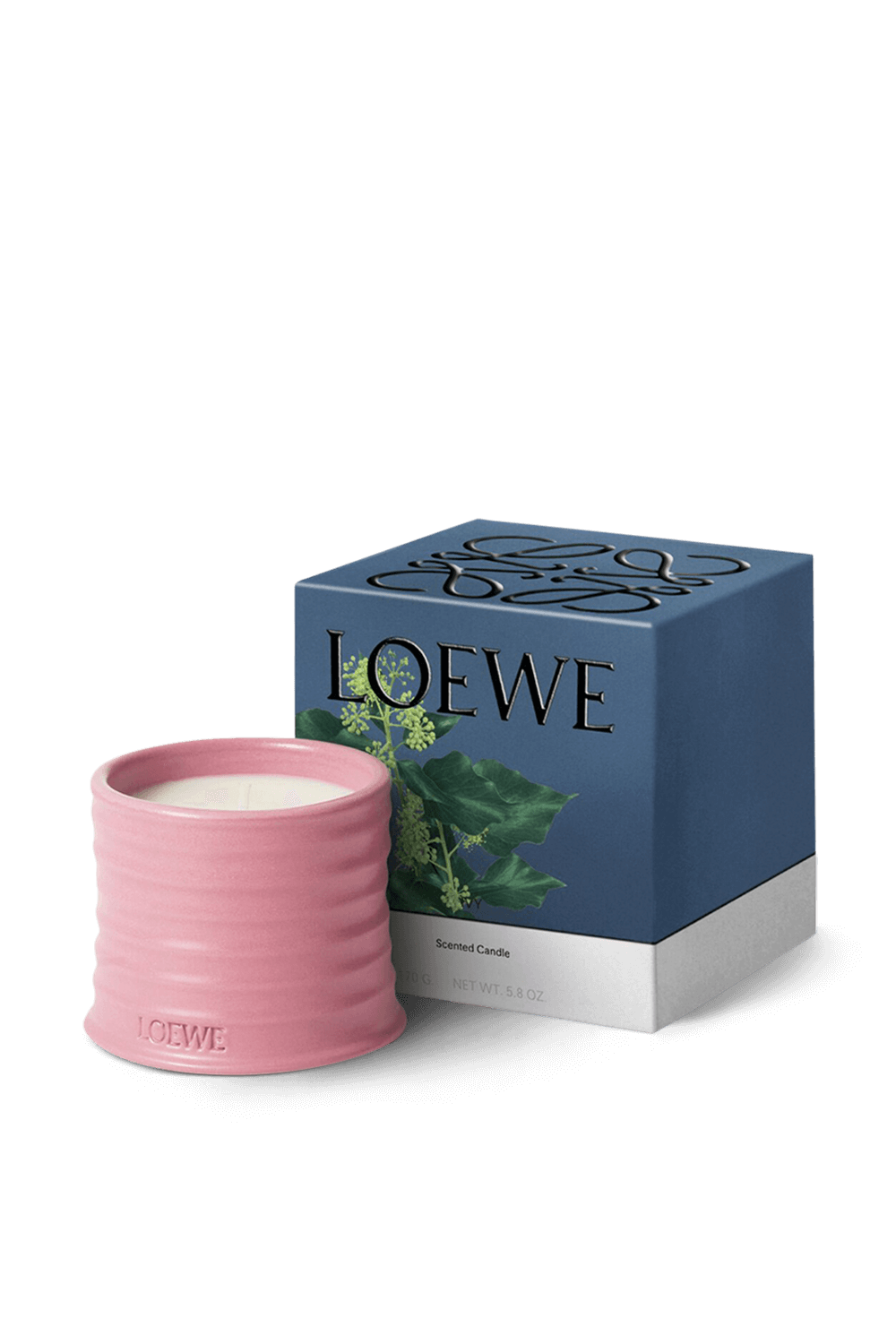 תמונה אחורית של LOEWE Ivy Small Scented Candle LOEWE PERFUMES