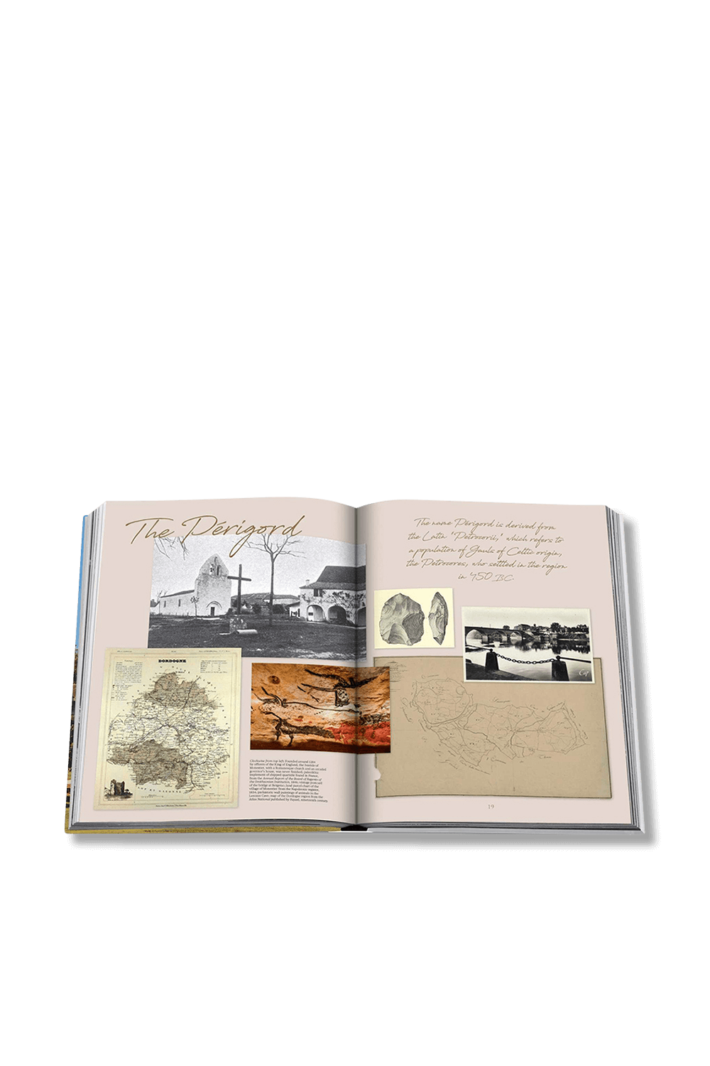 טירת מוניסטייר ASSOULINE