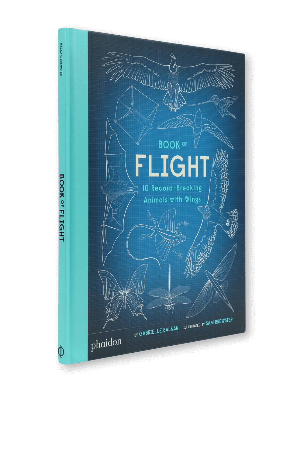תמונה אחורית של Book of Flight - גילאי 5-8