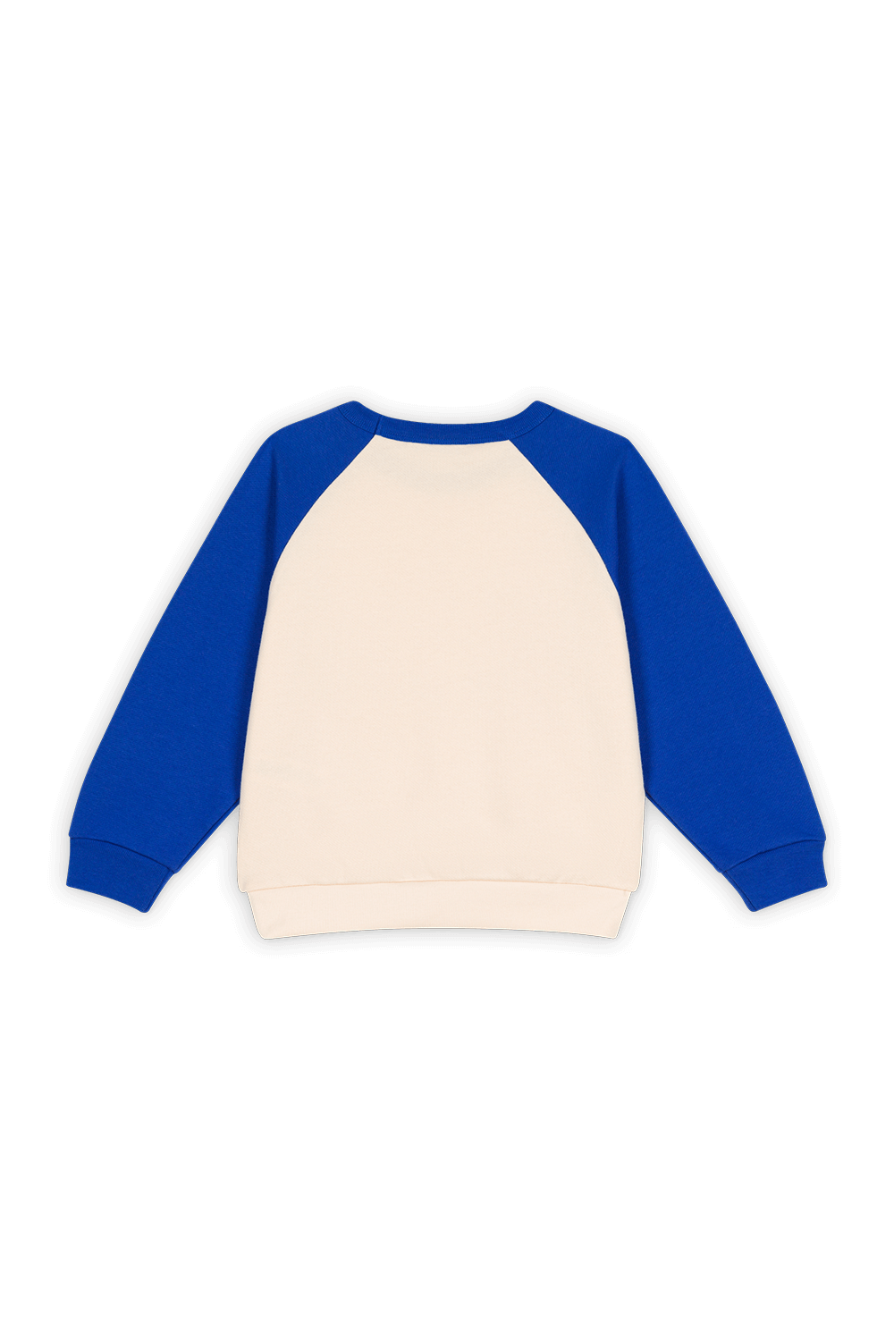 תמונה אחורית של סווטשירט קל -גילאי 6-12 שנים PETIT BATEAU