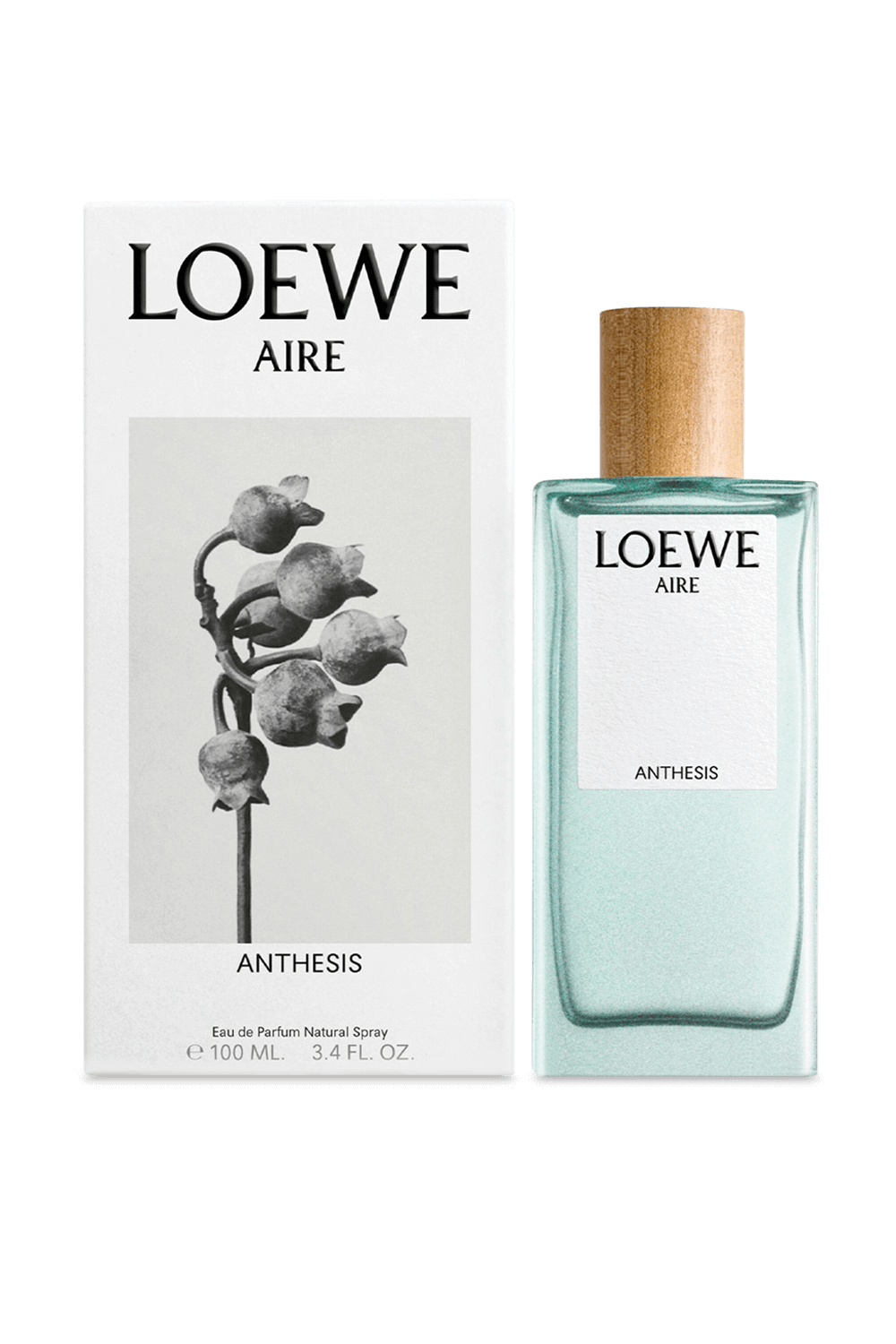 תמונה אחורית של LOEWE Aire Anthesis Eau de Parfum 100 ml LOEWE PERFUMES