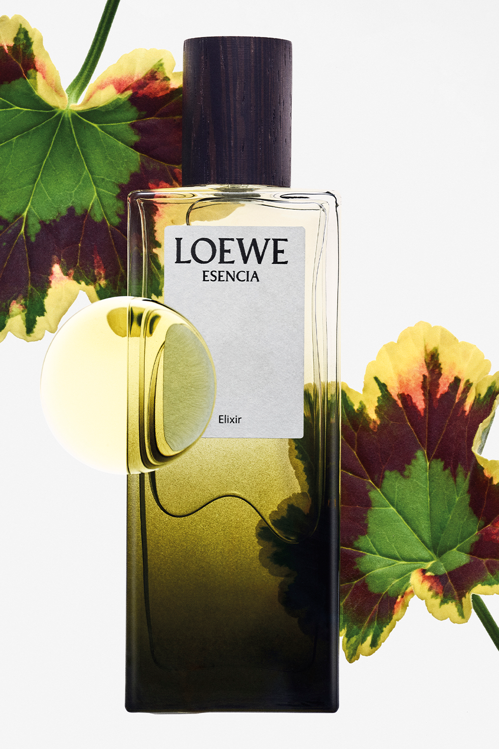 תמונת פנים של LOEWE Esencia Elixir Eau de Parfum 100 ml LOEWE PERFUMES