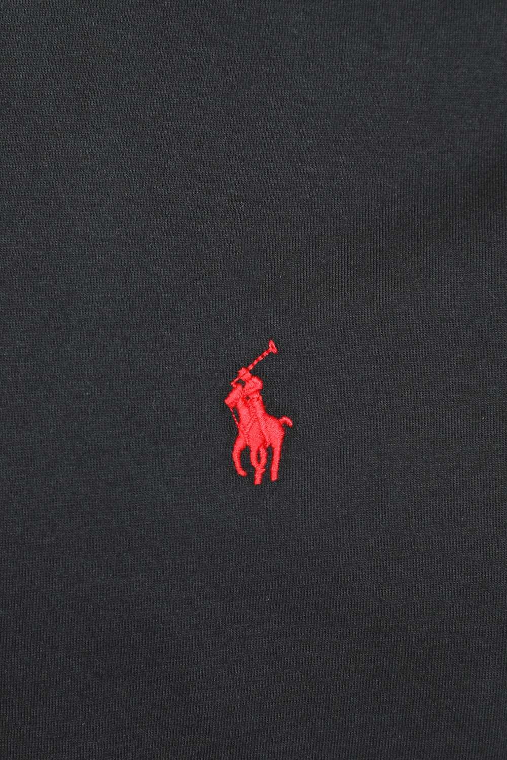 תמונה אחורית של חולצת טי עם לוגו רקום POLO RALPH LAUREN