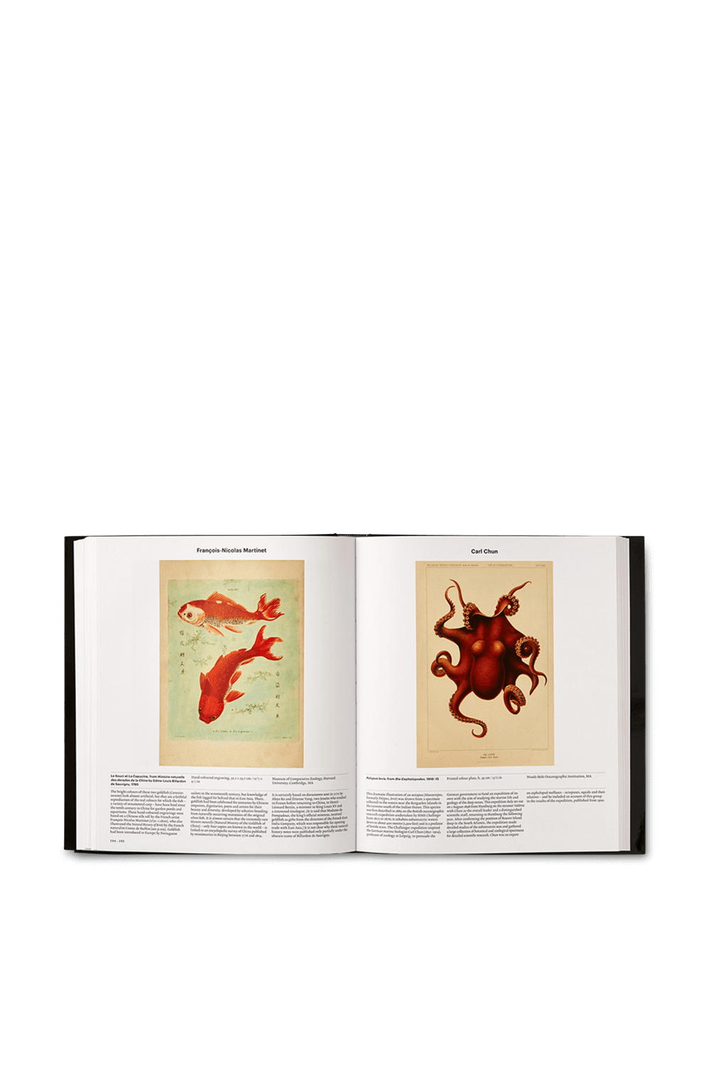 תמונת פנים של Animal Exploring the Zoological World PHAIDON