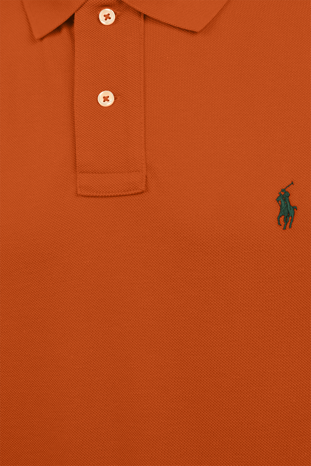 תמונה אחורית של חולצת פולו עם לוגו רקום POLO RALPH LAUREN