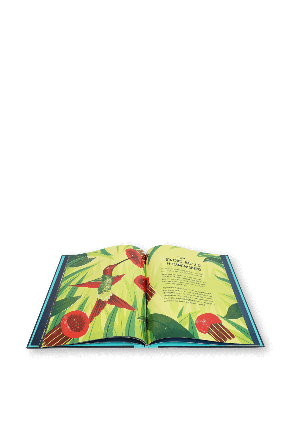 תמונת תקריב של Book of Flight - גילאי 5-8