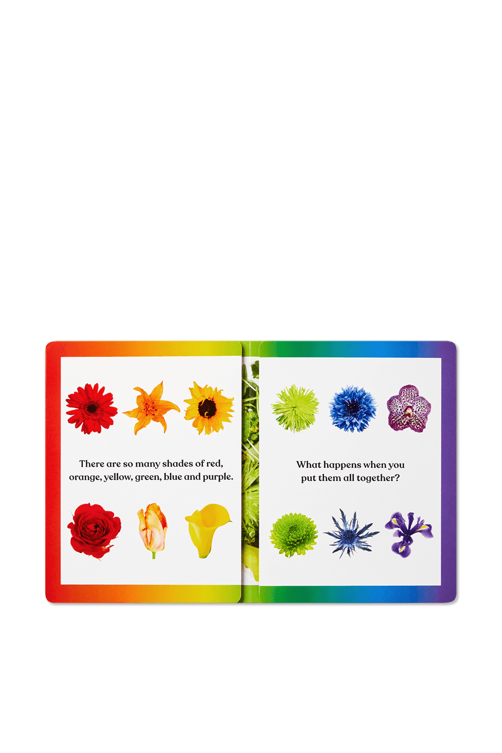 תמונה אחורית של Rainbows in Bloom PHAIDON