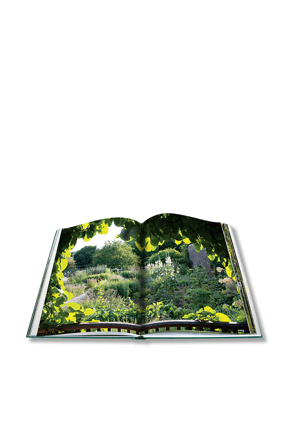 גני המפטון ASSOULINE