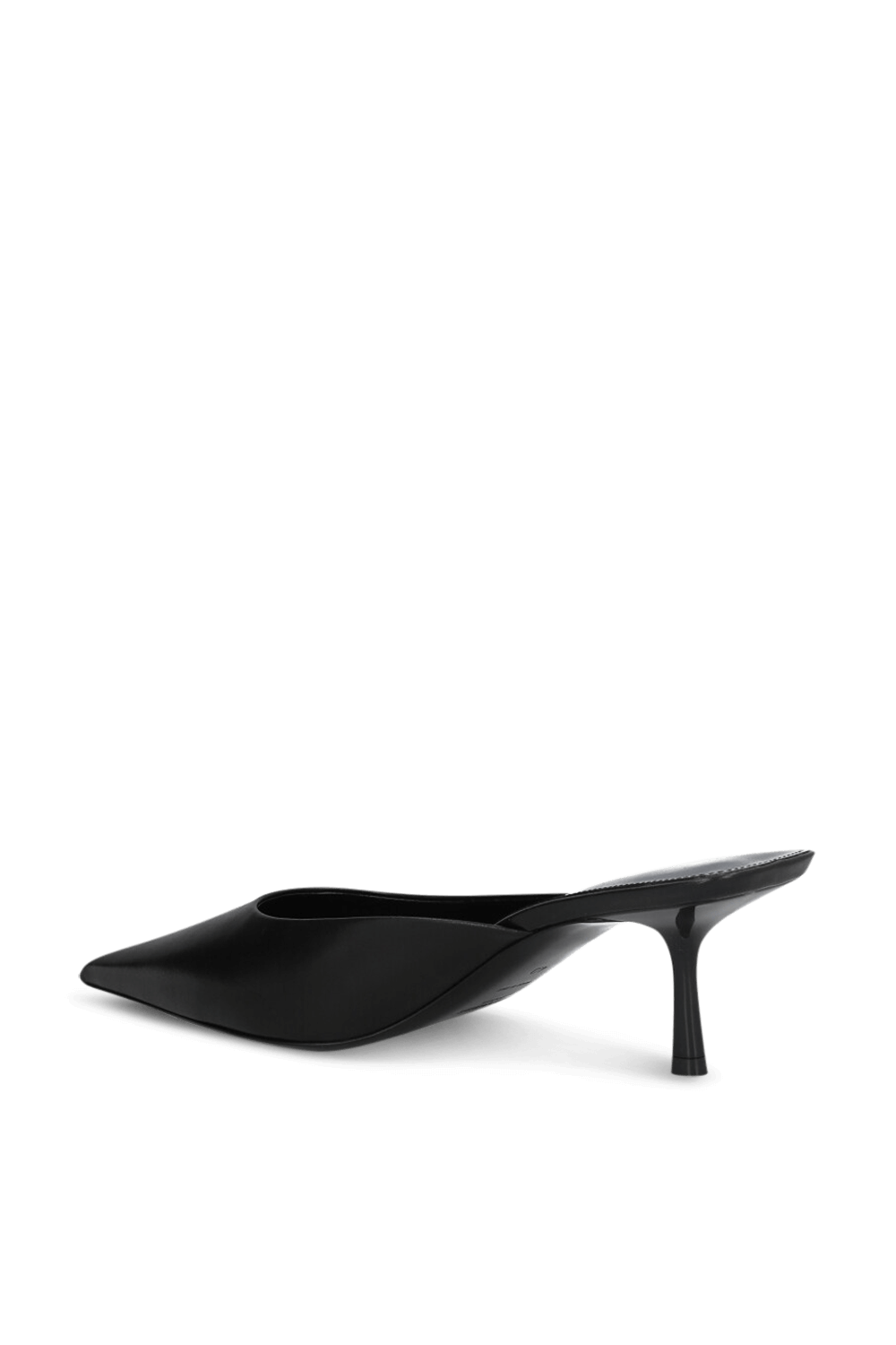 תמונה אחורית של נעלי עקב מיולס SAINT LAURENT