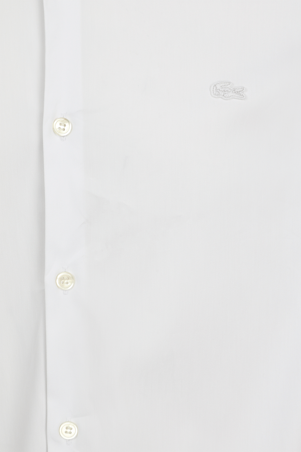 תמונה אחורית של חולצת מכופתרת LACOSTE