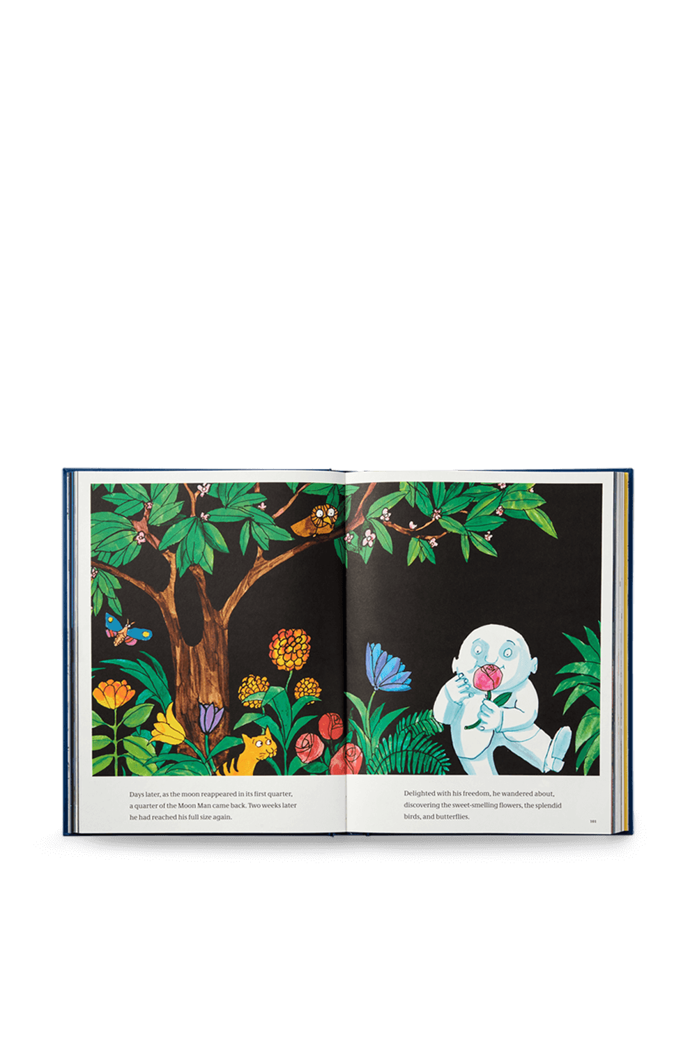 תמונת פנים של A Treasury of 8 Books