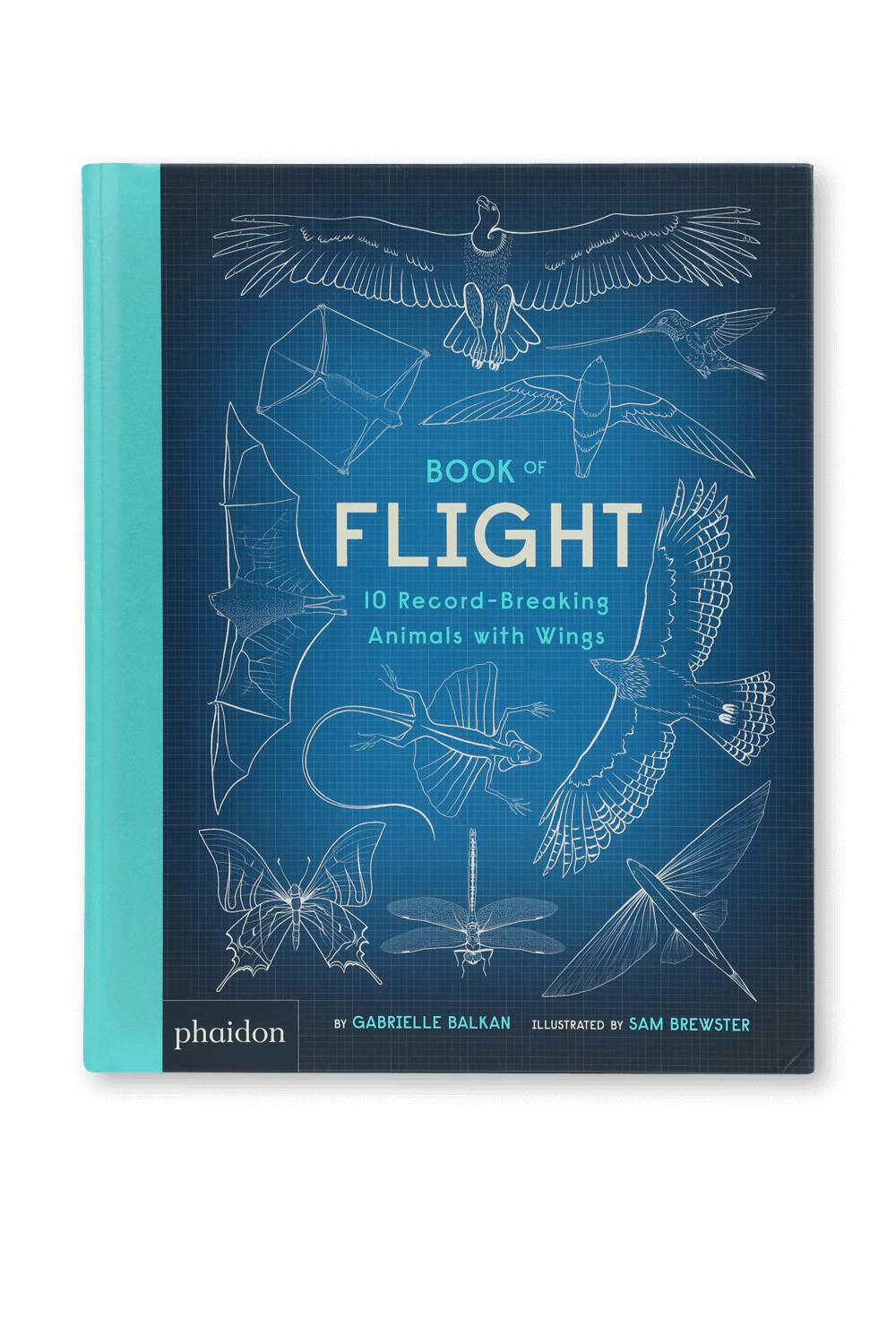 תמונה קידמית של Book of Flight - גילאי 5-8