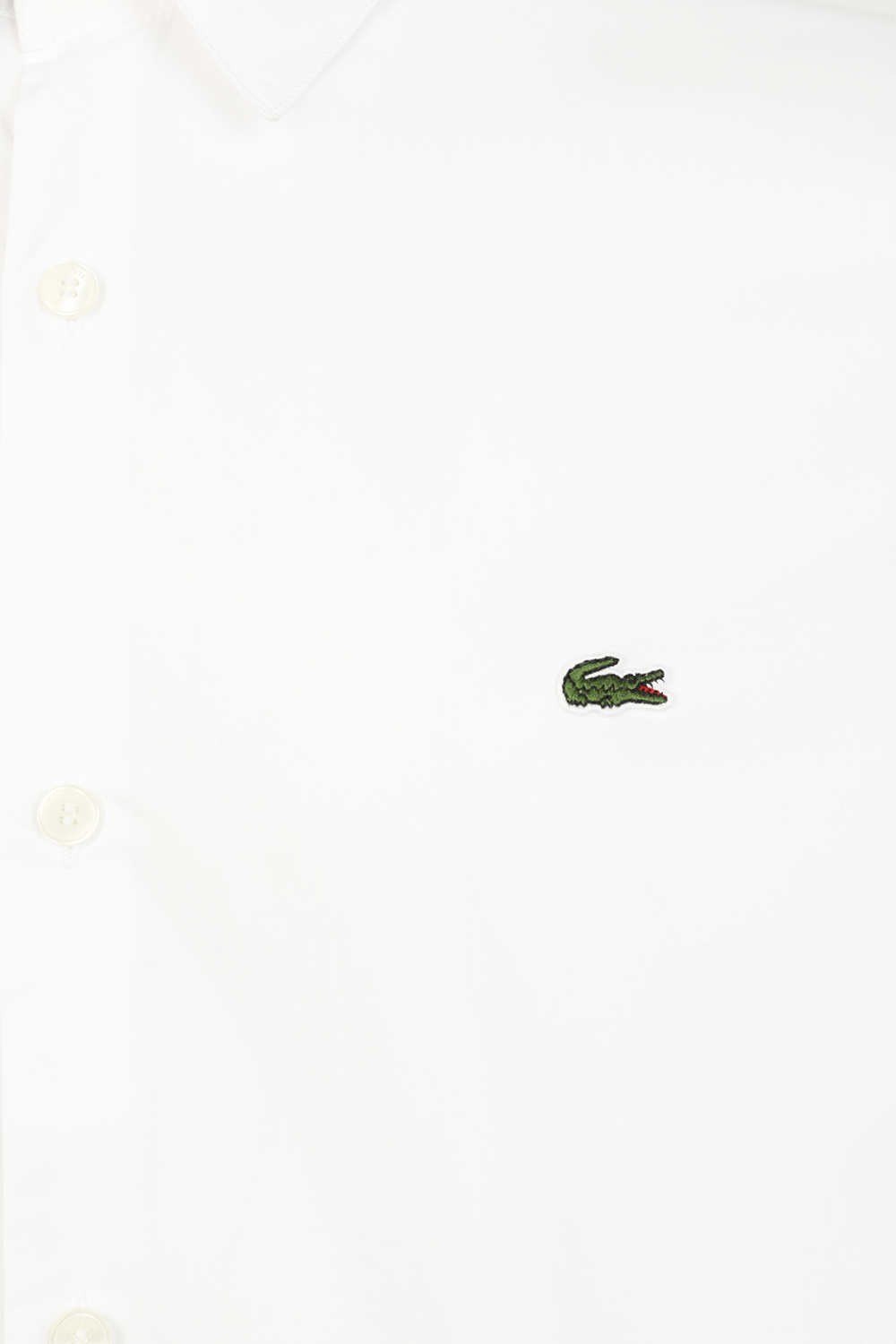 תמונה אחורית של חולצה מכופתרת LACOSTE