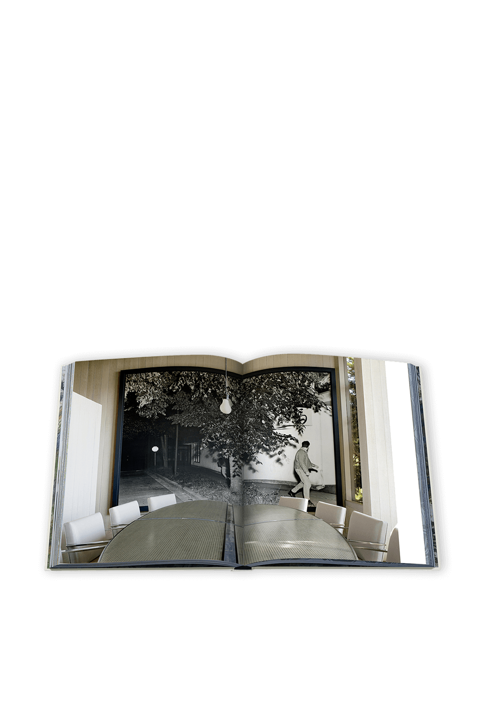 תמונת פנים של ארט האוס ASSOULINE