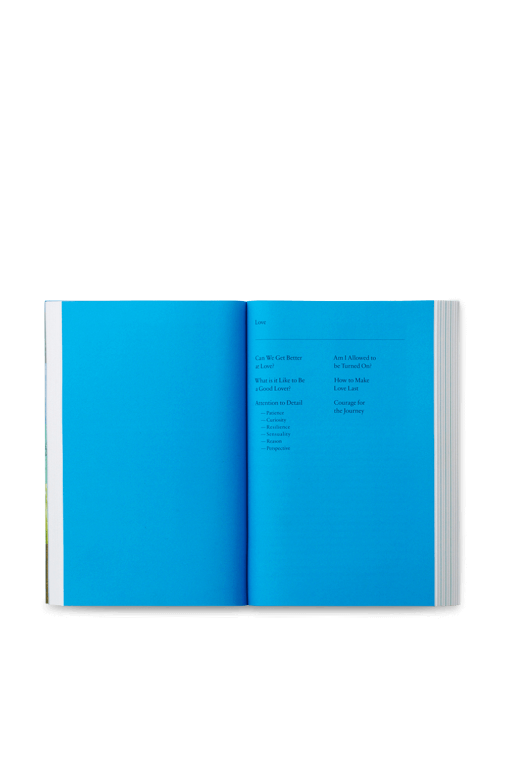 תמונת תקריב של Art as Therapy PHAIDON