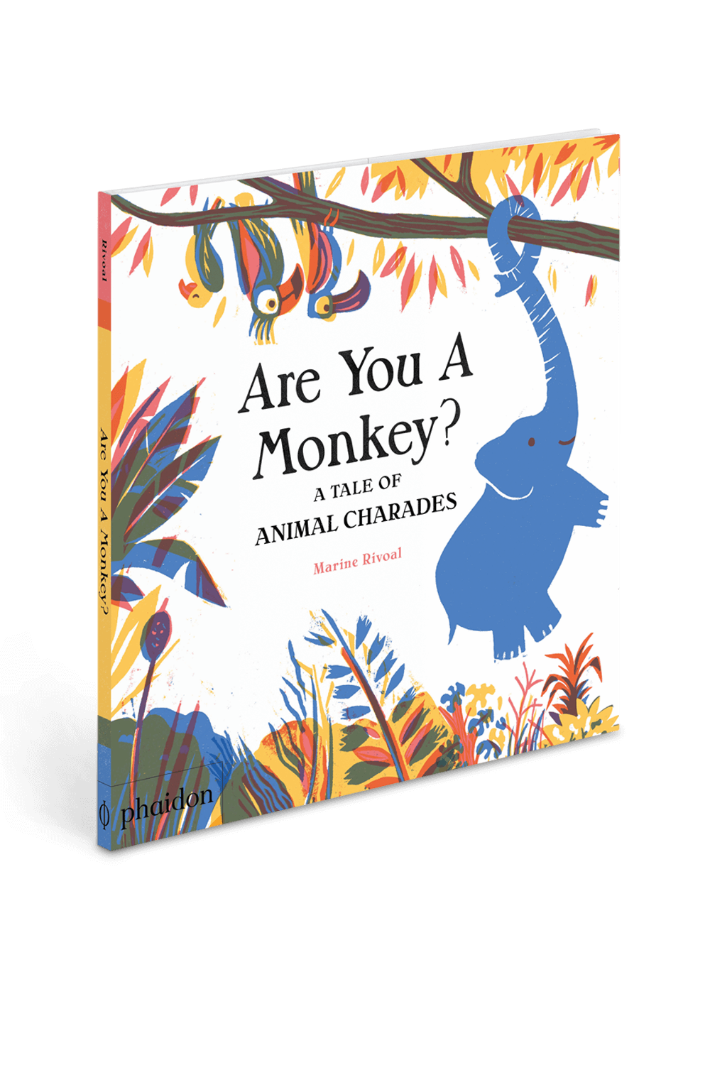 תמונה קידמית של Are You A Monkey