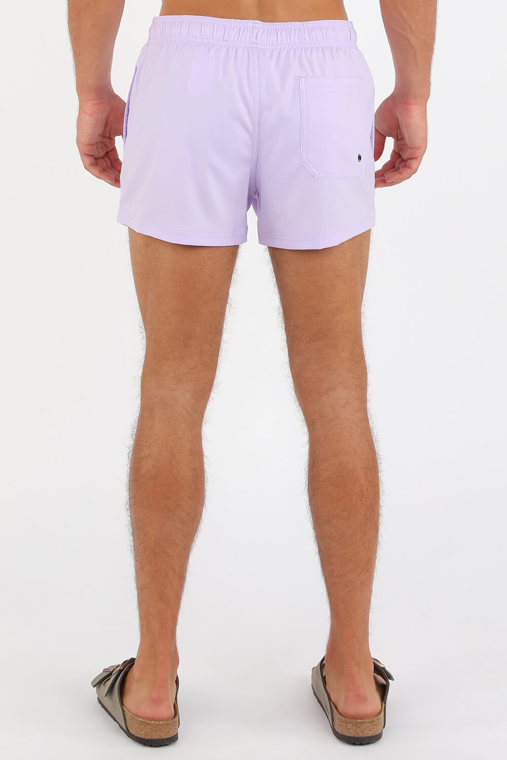 תמונת דוגמן אחורית של Swimshorts in Purple