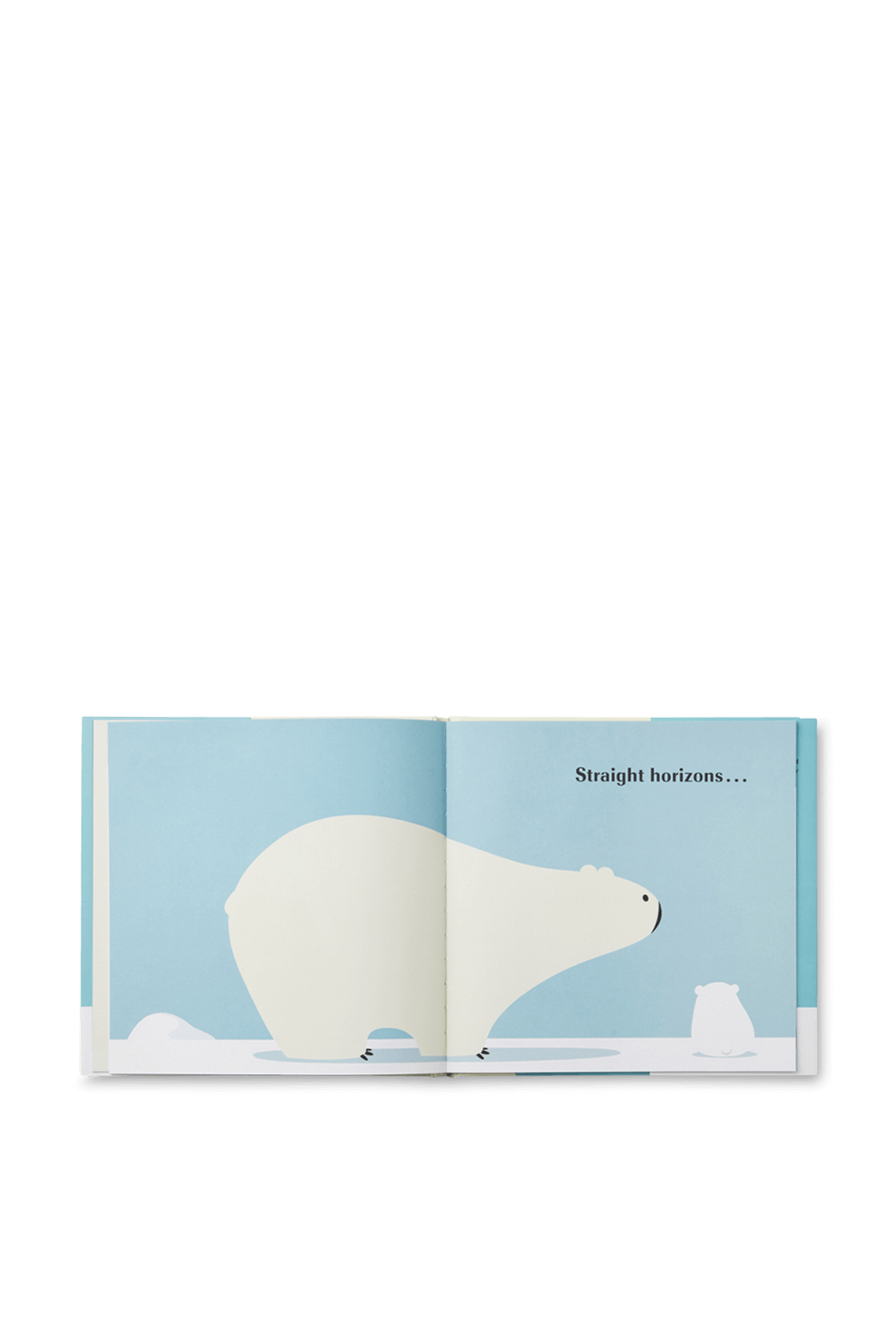 תמונת תקריב של Little Bear Dreams PHAIDON