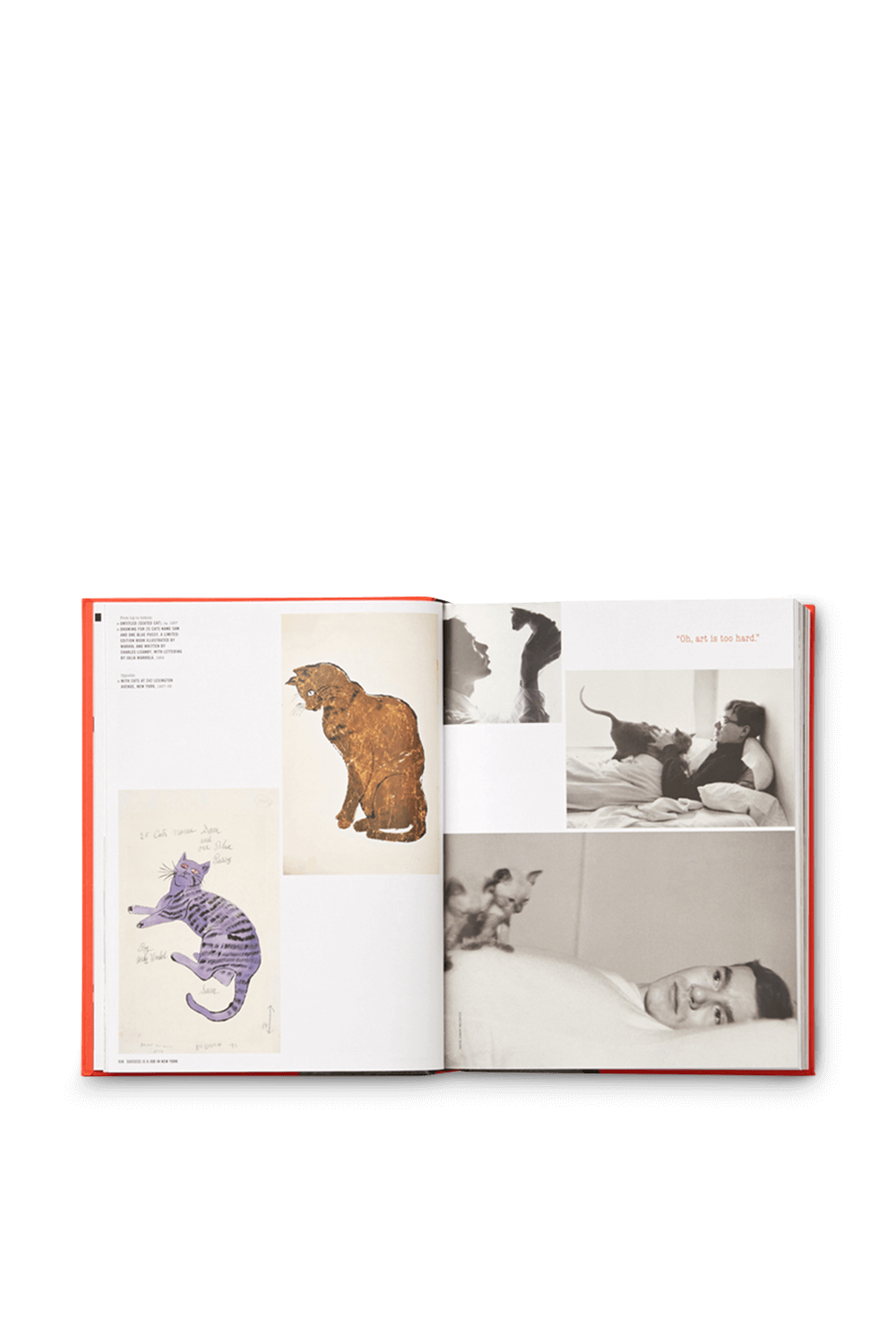 תמונה אחורית של Andy Warhol Giant Size mini format PHAIDON