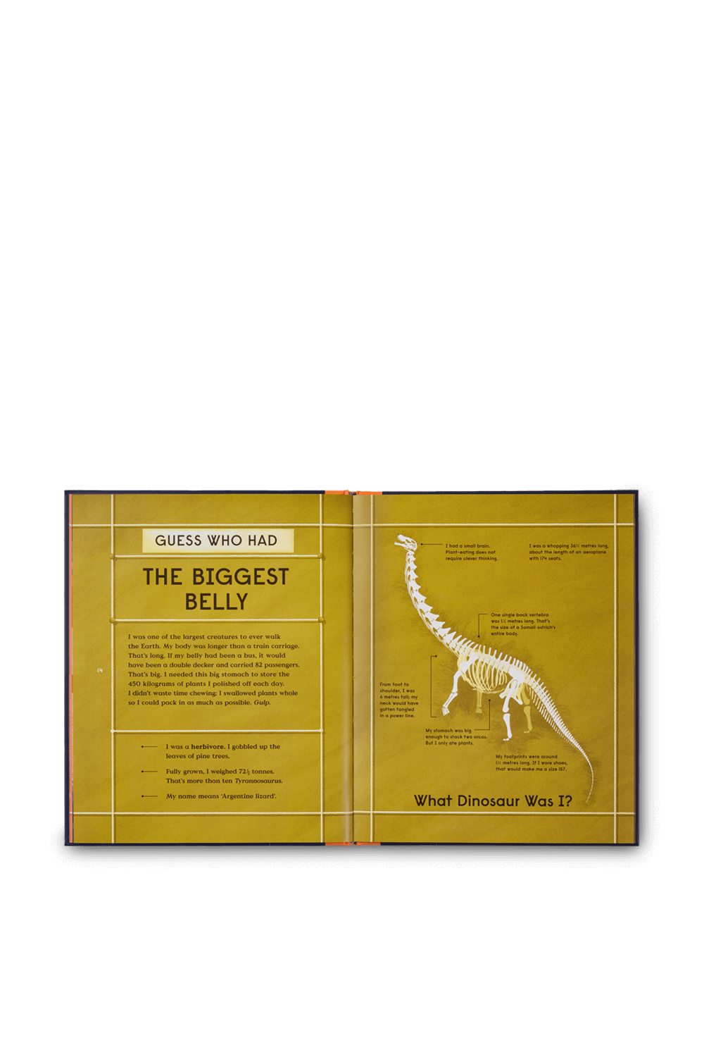 תמונת פנים של Book of Dinosaurs PHAIDON