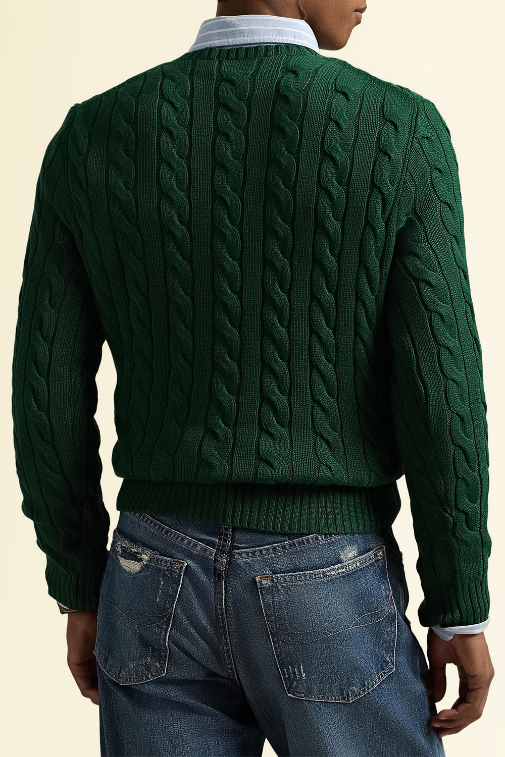 תמונת דוגמן אחורית של סריג כותנה POLO RALPH LAUREN