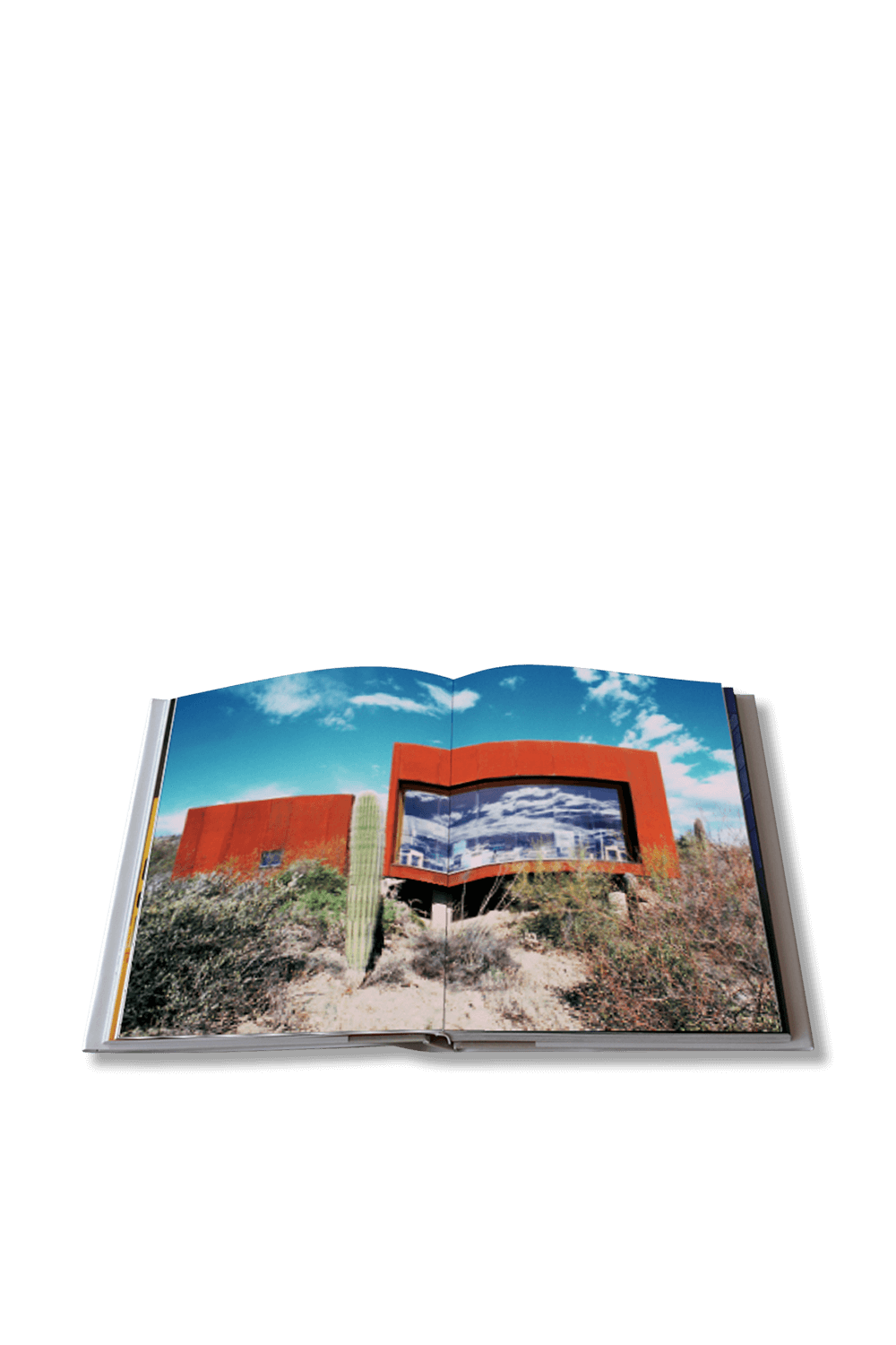 תמונת פנים של דיוקאנות של האדריכלים החדשים ASSOULINE