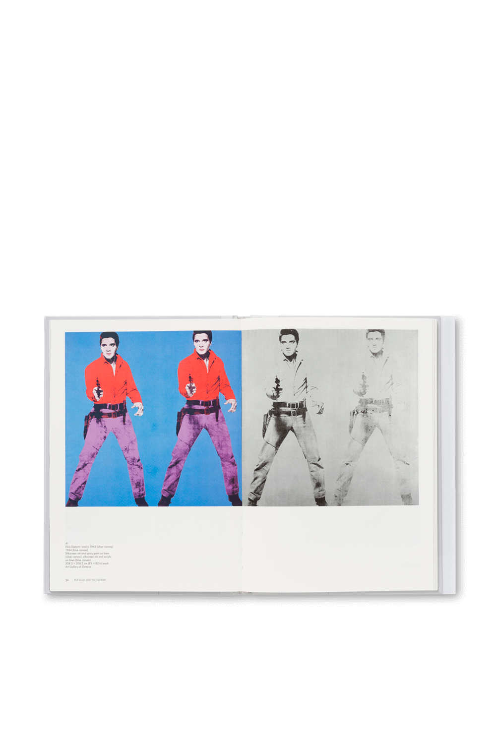 תמונת תקריב של Andy Warhol