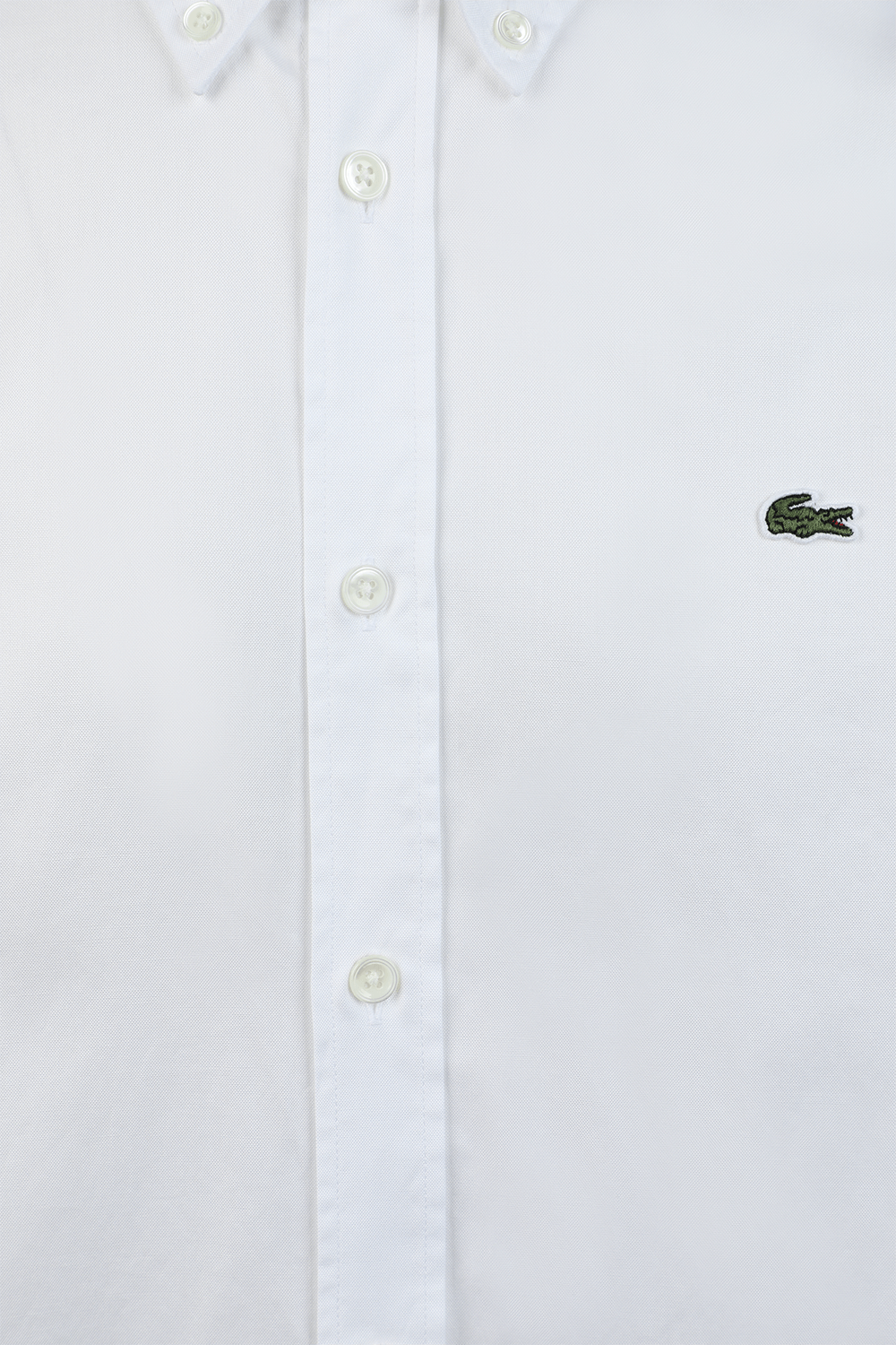 תמונה אחורית של חולצת כפתורים סלים לבנה LACOSTE