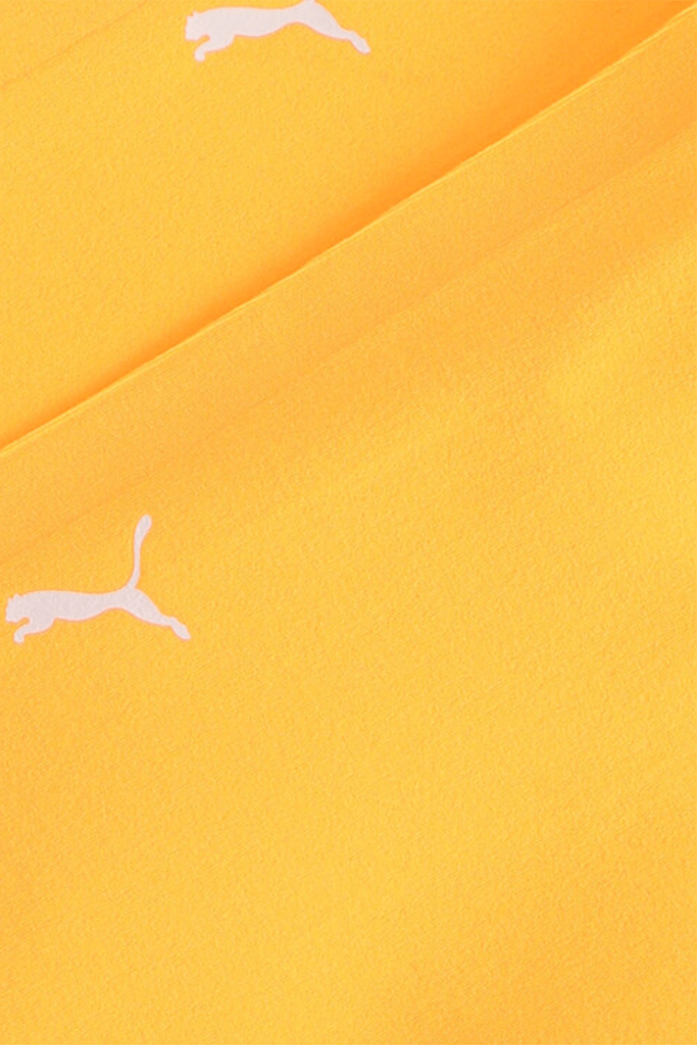 תמונת תקריב של זוג תחתוני בריף PUMA