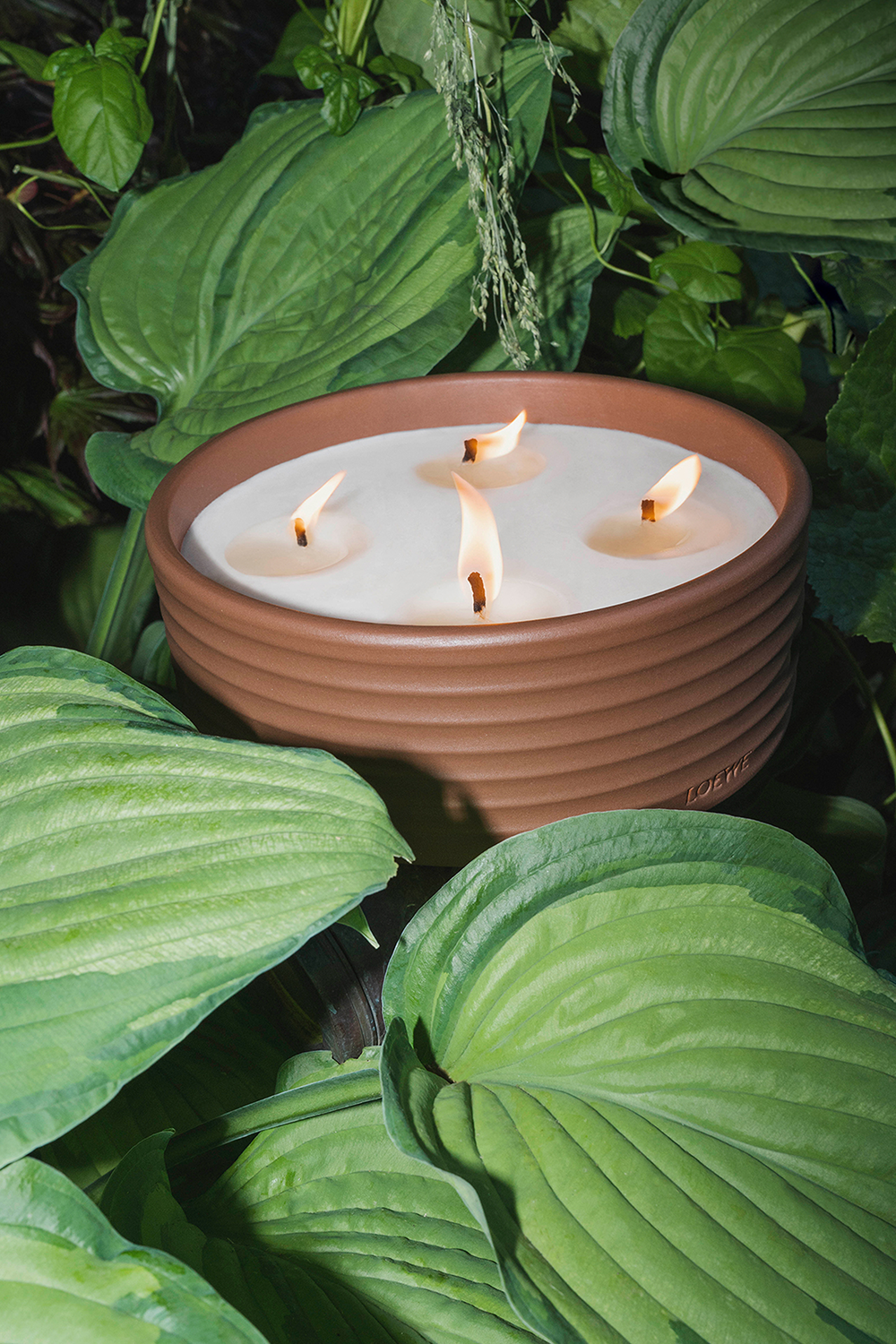 תמונת פנים של LOEWE Thyme Outdoor Candle LOEWE PERFUMES