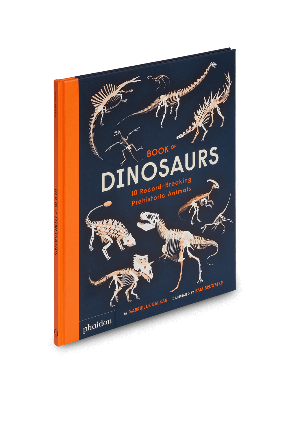 תמונה קידמית של Book of Dinosaurs PHAIDON