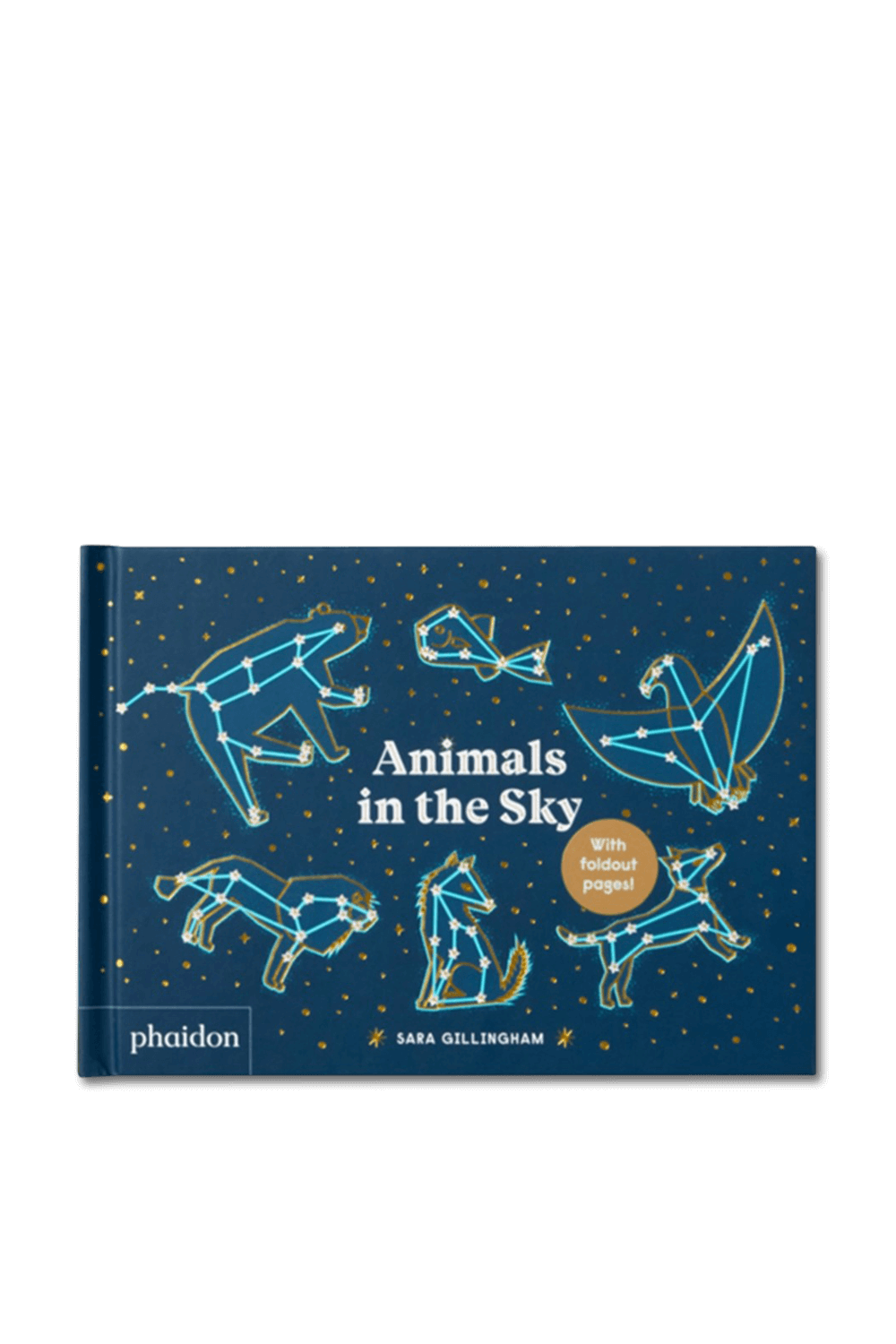 תמונה קידמית של Animals in The Sky PHAIDON