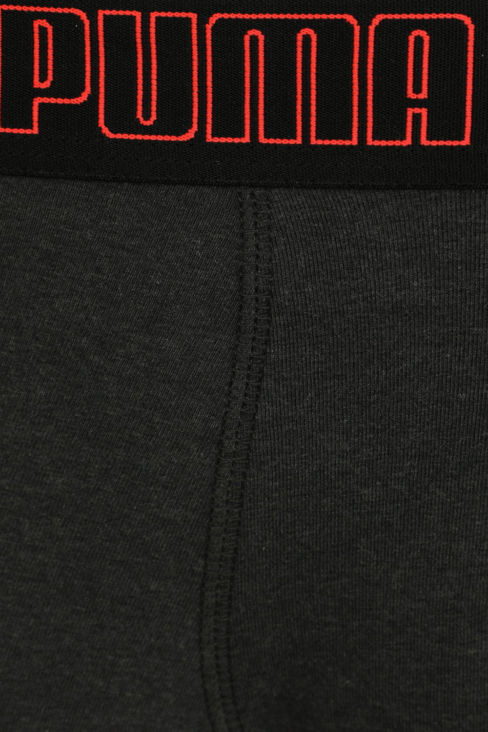 Puma Basic Trunk 2P PUMA