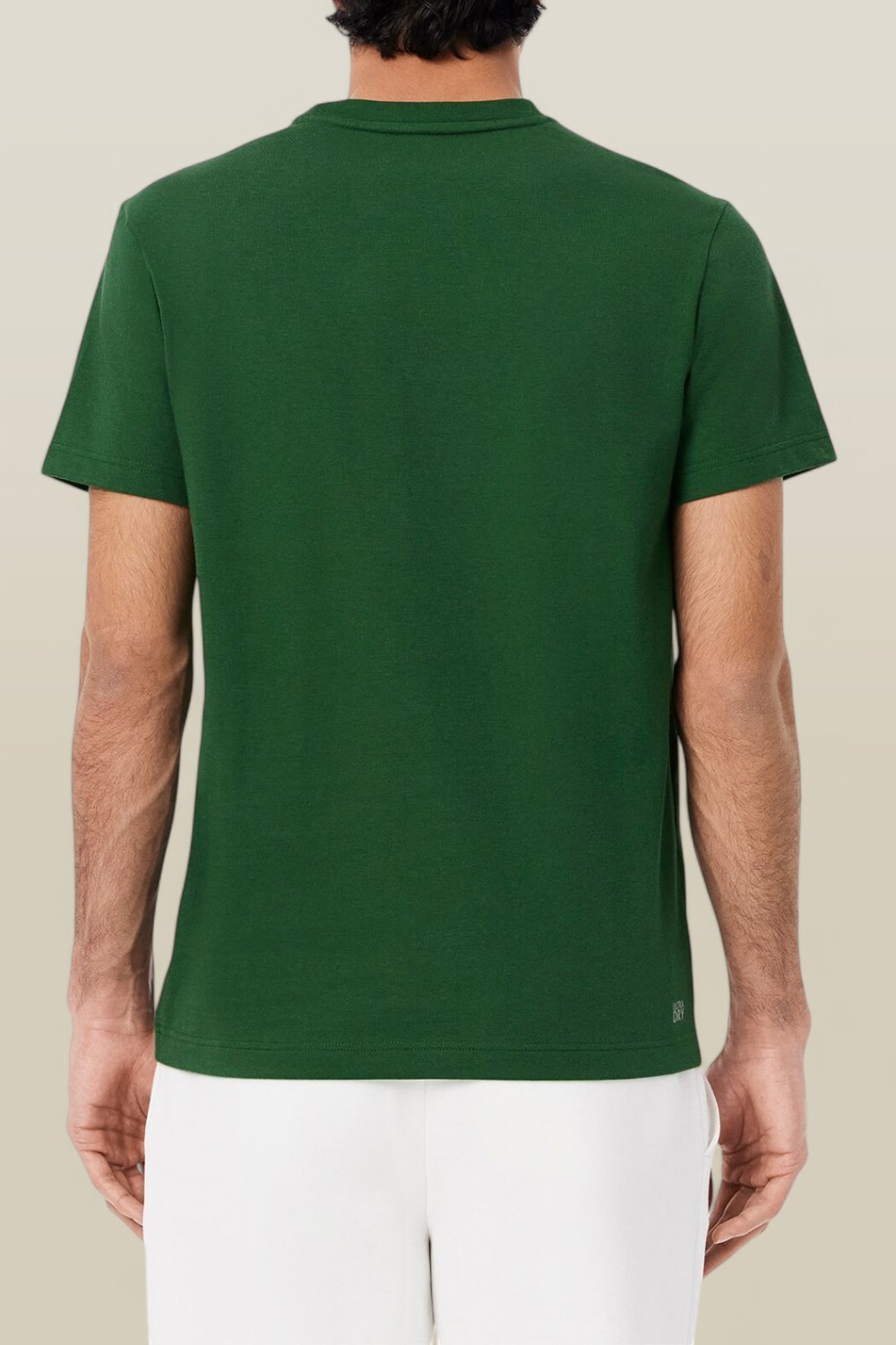 תמונת דוגמן אחורית של חולצת טי LACOSTE