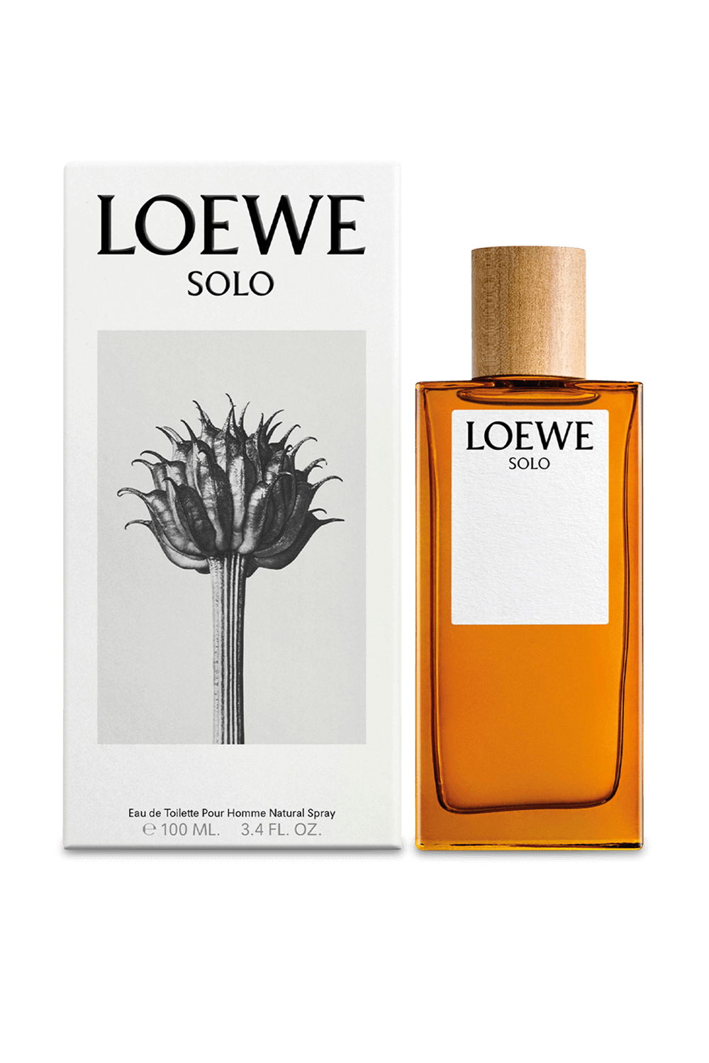 תמונה אחורית של LOEWE Solo Eau de Toilette 100 ml LOEWE PERFUMES