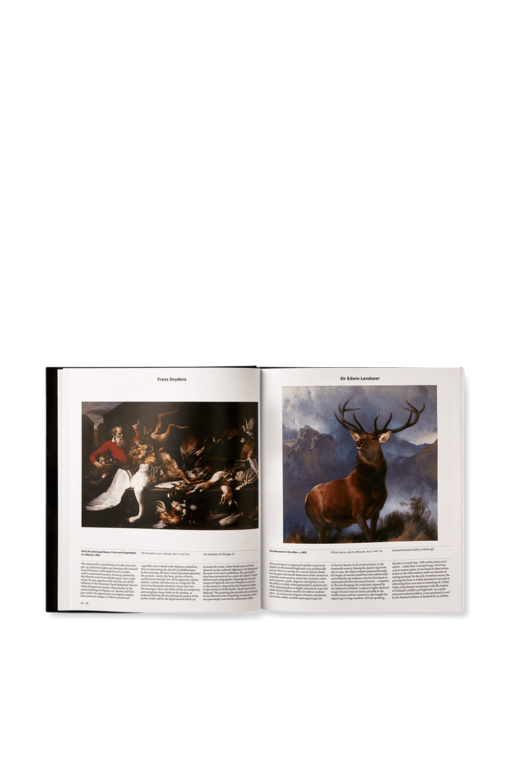תמונה אחורית של Animal Exploring the Zoological World PHAIDON