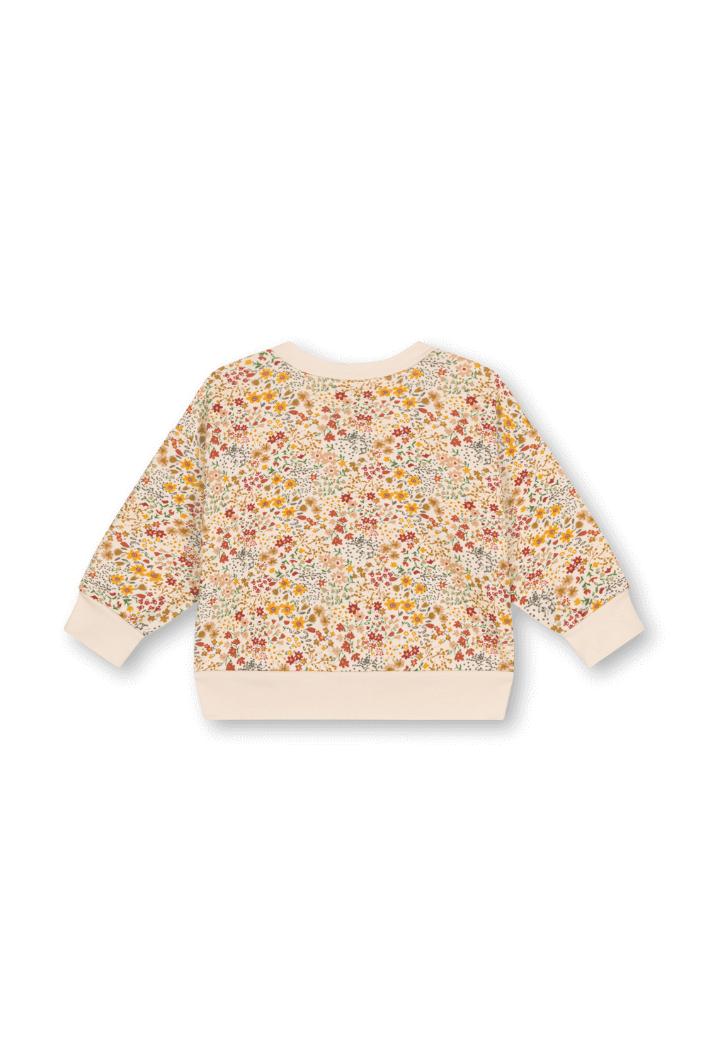 תמונה אחורית של קרדיגן - גילאי 18-36 חודשים PETIT BATEAU