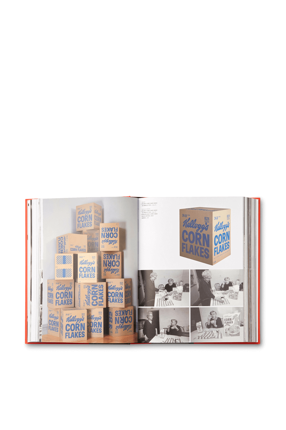 תמונת פנים של Andy Warhol Giant Size mini format PHAIDON