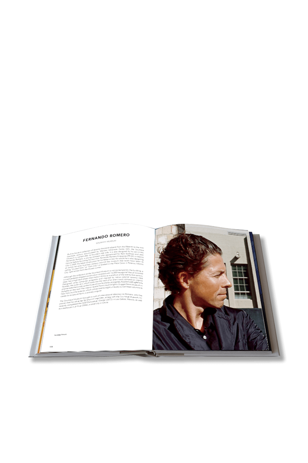 דיוקאנות של האדריכלים החדשים ASSOULINE