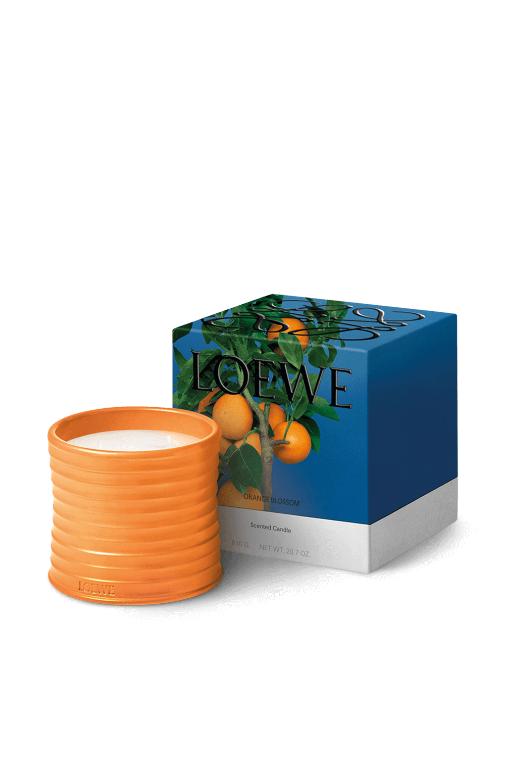 תמונה אחורית של LOEWE Orange Blossom Medium Scented Candle LOEWE PERFUMES