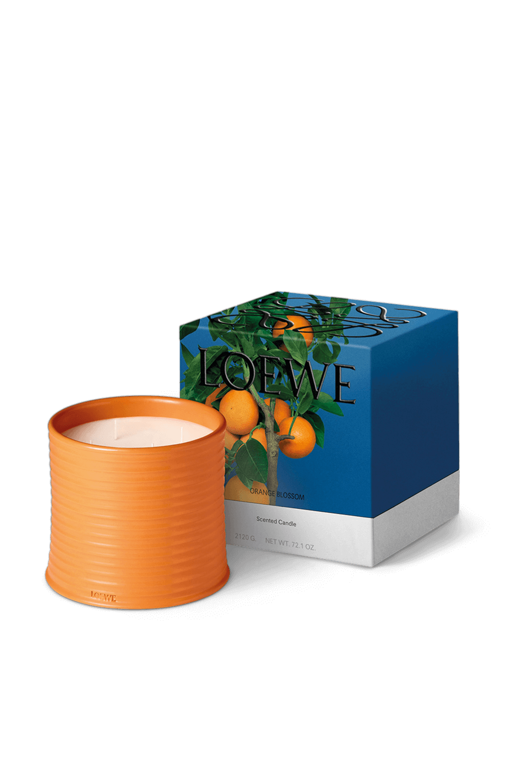 תמונה אחורית של LOEWE Orange Blossom Large Scented Candle LOEWE PERFUMES