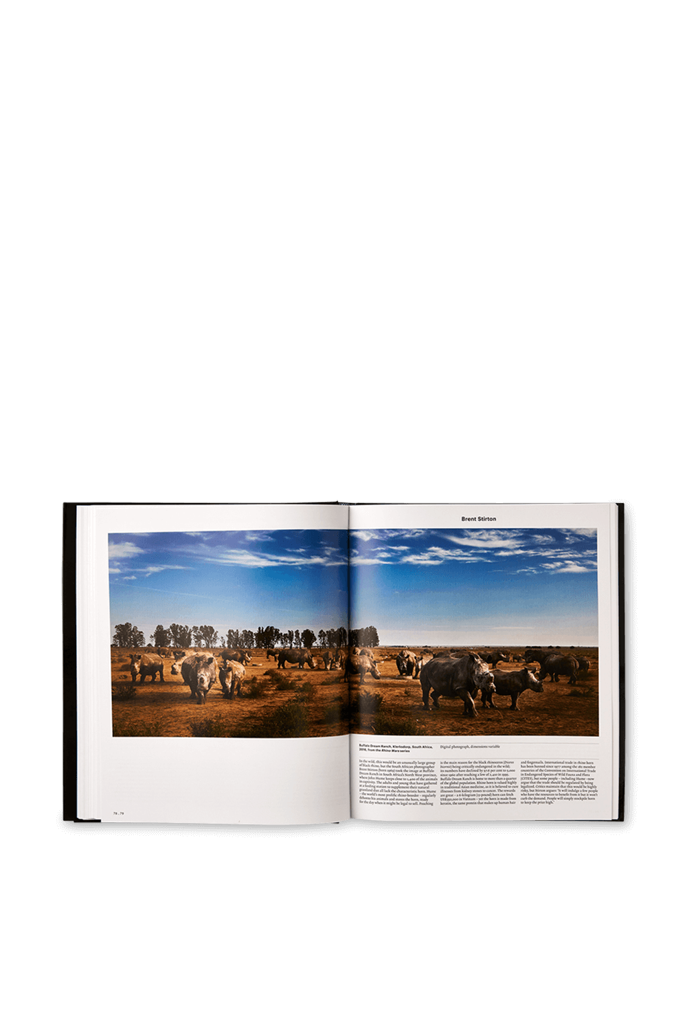 תמונת תקריב של Animal Exploring the Zoological World PHAIDON