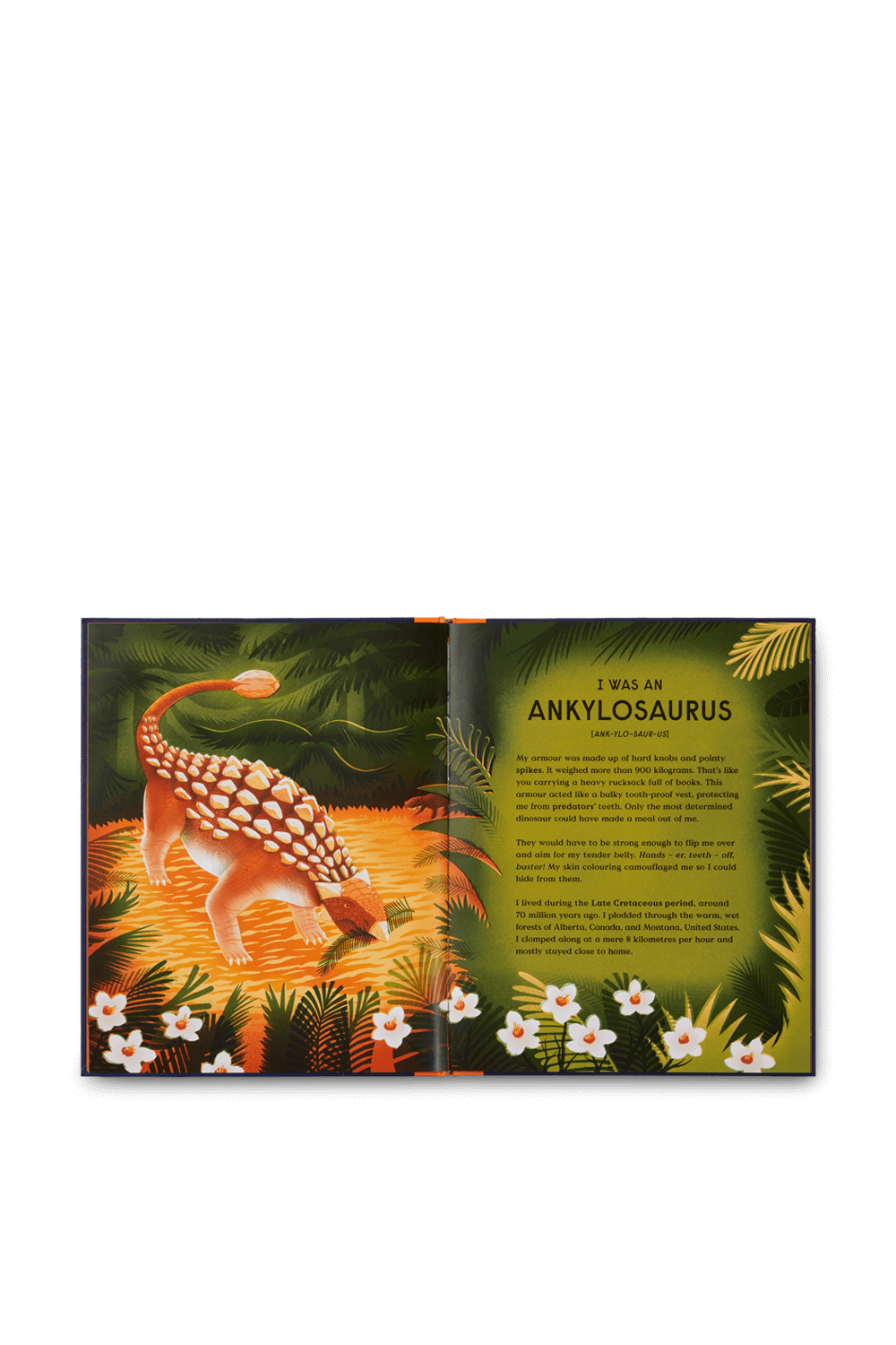 תמונת תקריב של Book of Dinosaurs PHAIDON